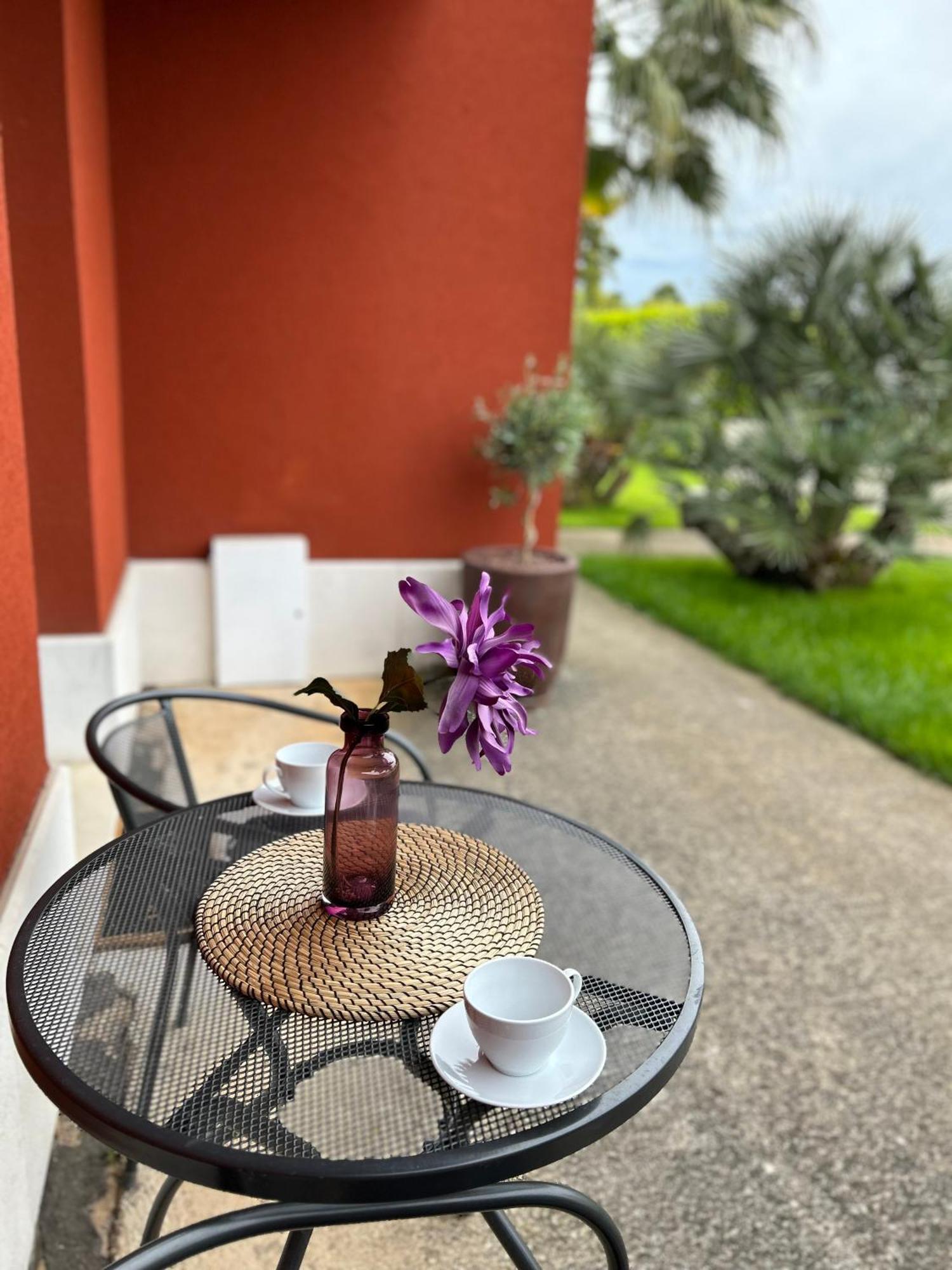 Ivni Apartmani Novigrad Istria Εξωτερικό φωτογραφία